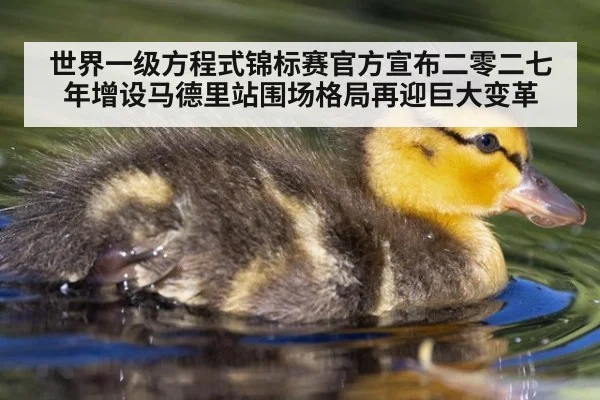 世界一级方程式锦标赛官方宣布二零二七年增设马德里站围场格局再迎巨大变革