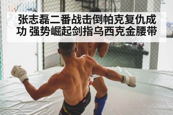 张志磊二番战击倒帕克复仇成功 强势崛起剑指乌西克金腰带