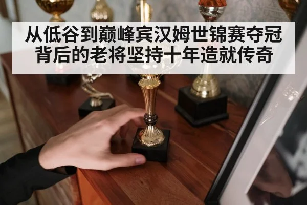 从低谷到巅峰宾汉姆世锦赛夺冠背后的老将坚持十年造就传奇